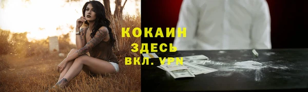 мяу мяу мука Гусев