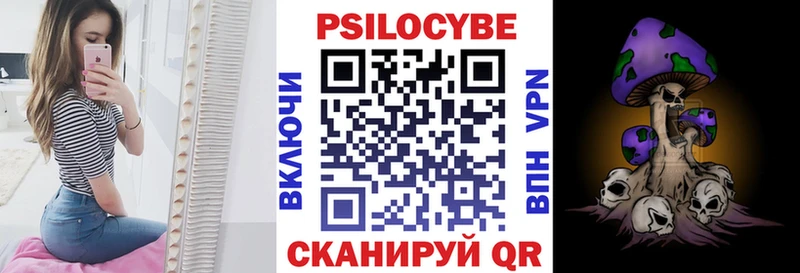 продажа наркотиков  Ермолино  Псилоцибиновые грибы GOLDEN TEACHER 
